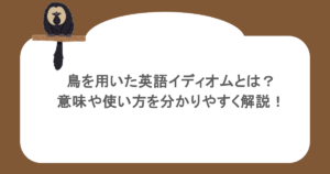 鳥を用いた英語イディオムとは?意味や使い方を分かりやすく解説!