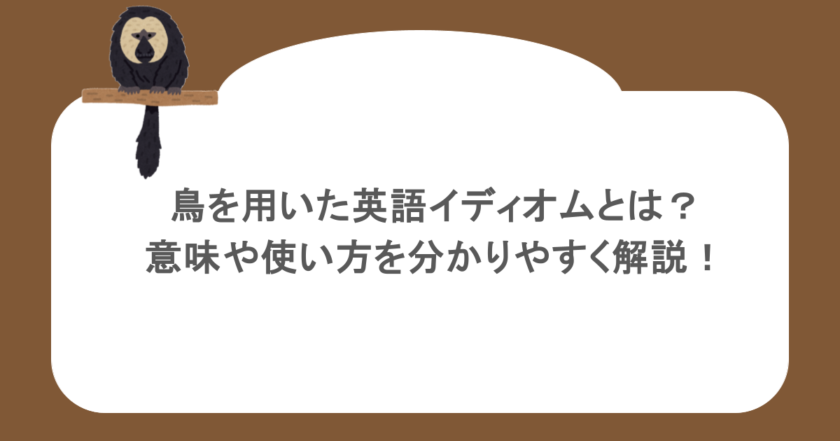 鳥を用いた英語イディオムとは？意味や使い方を分かりやすく解説！